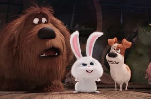فيلم الحياة السرية للحيوانات الأليفة مدبلج 2016